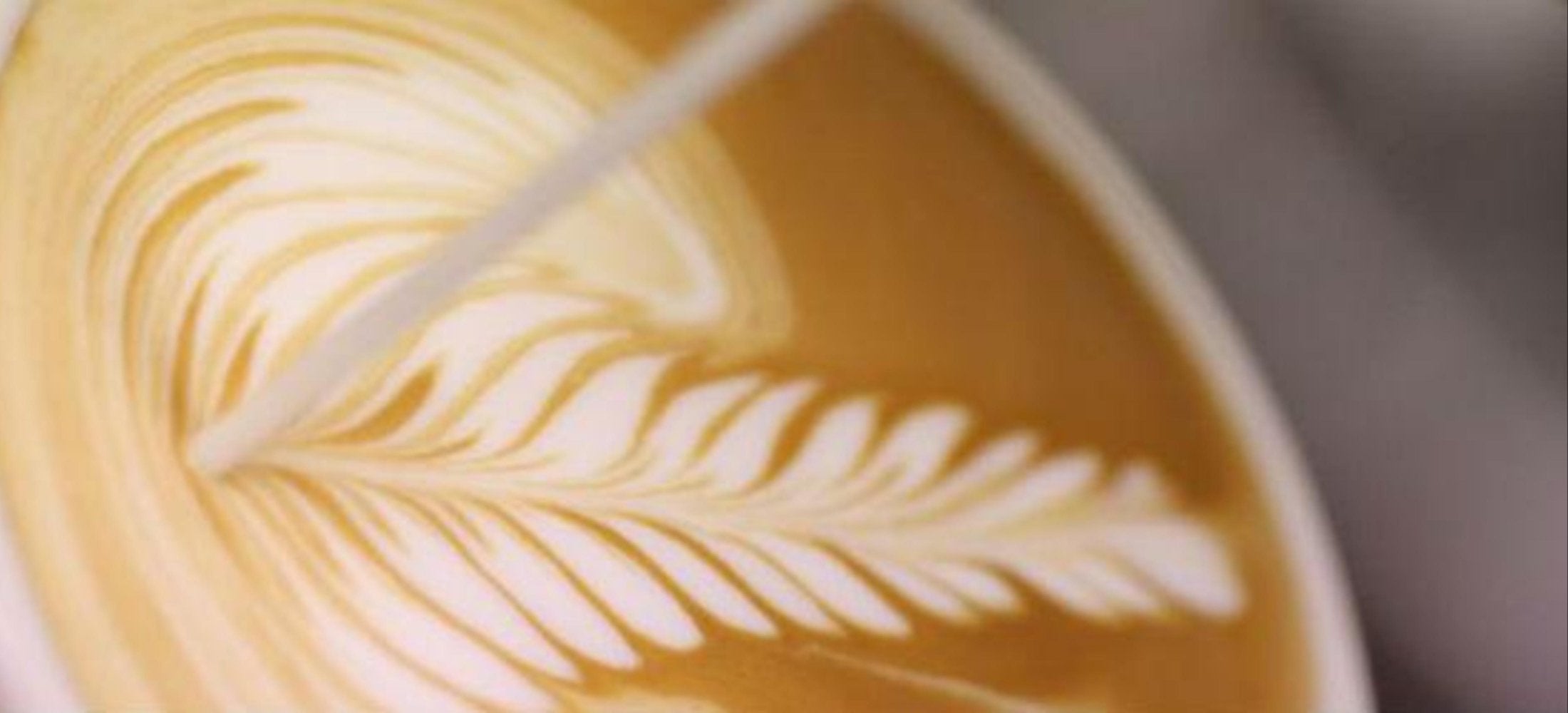 Latte Art Makes Beautiful Coffee Pictures on Social Media